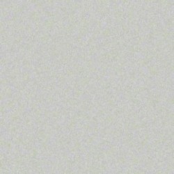 Cette image montre la couleur de la coque