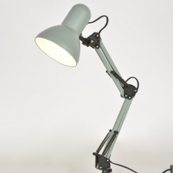 Cette image montre le produit en version cactus