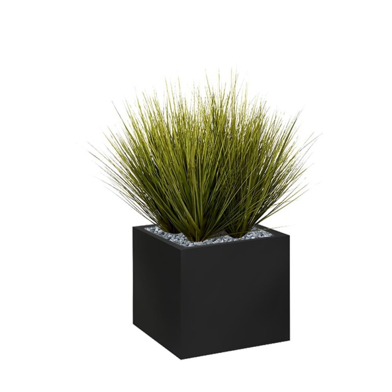 Image montre la couleur Image montre la couleur