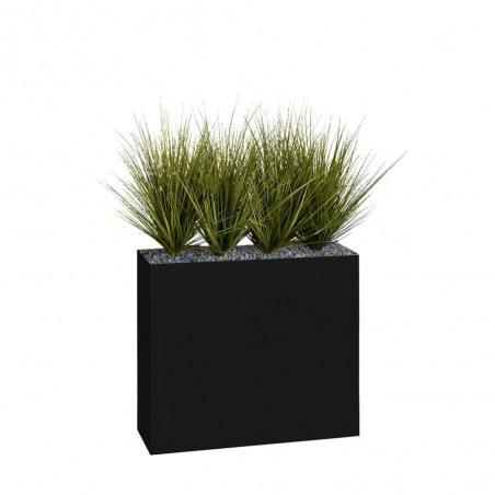 Image montre la couleur