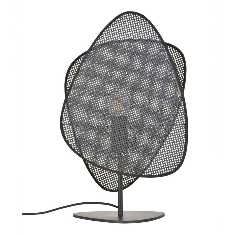 Cette image montre le produit en version noire